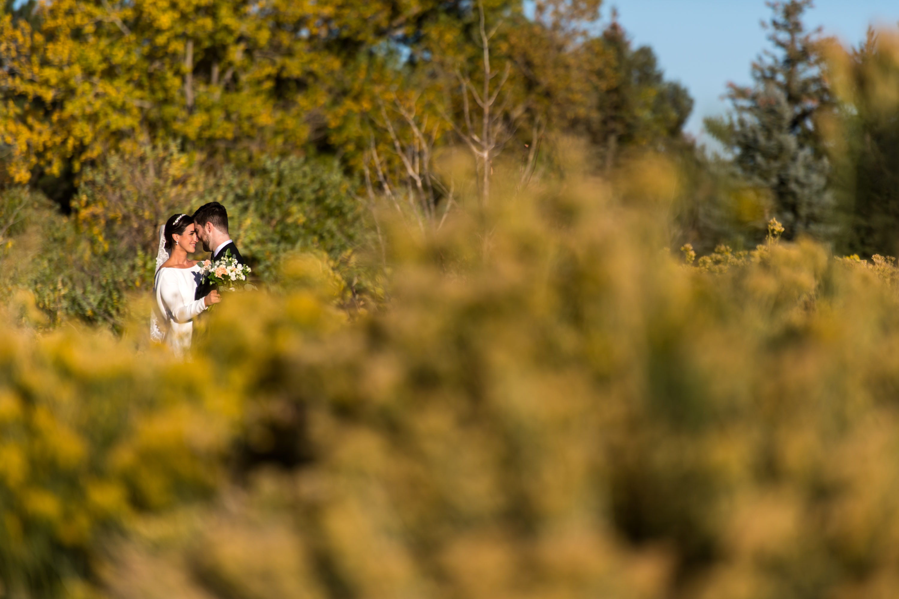 Bride and groom pose during wedding photo portraits at Belmar Park in Lakewood, Colorado.