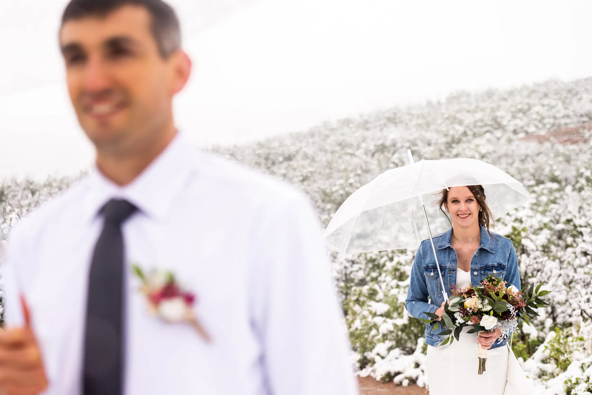 First look at Roxborough State Park wedding at Fountain Valley Overlook in the snow.