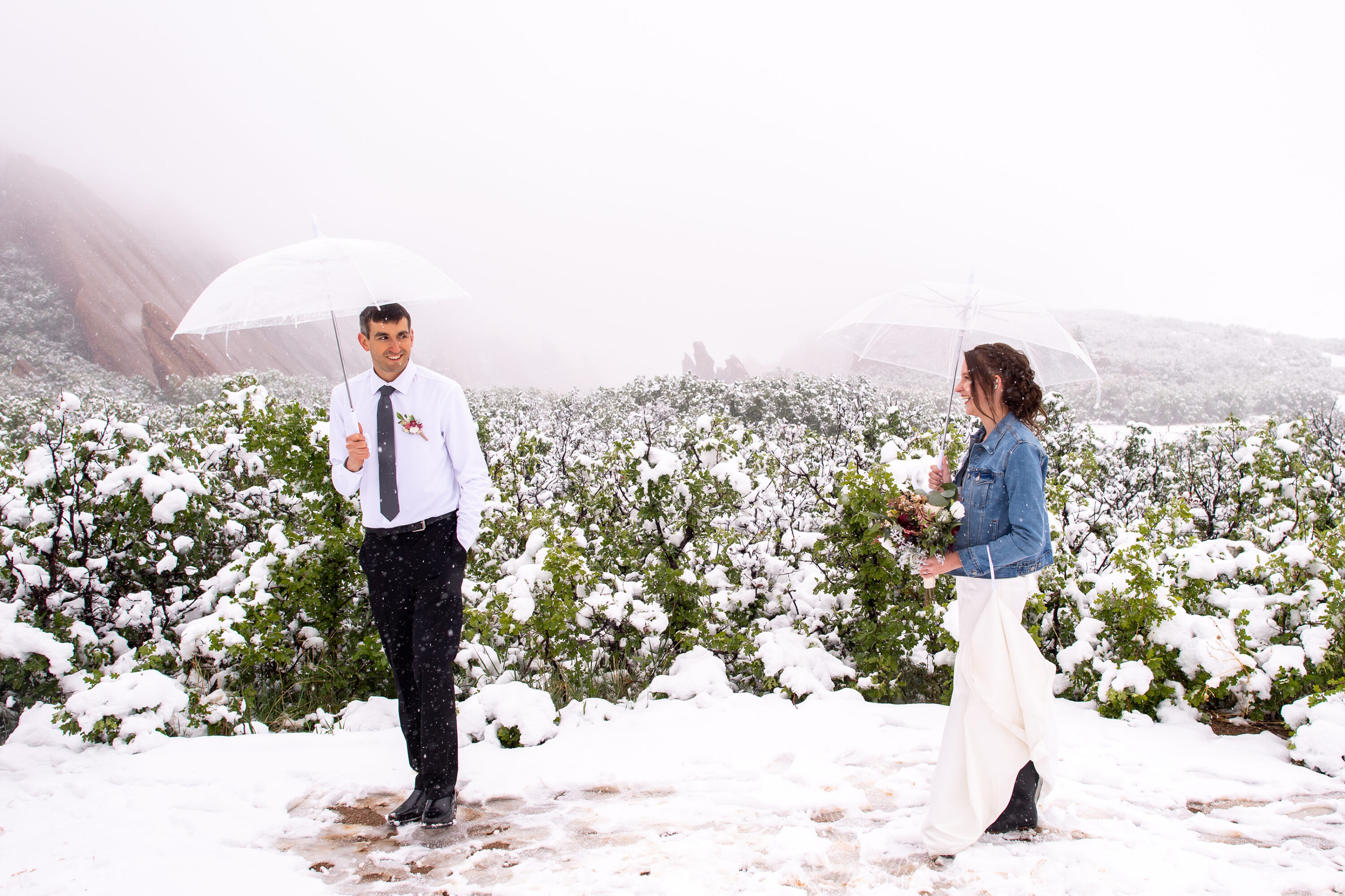 First look at Roxborough State Park wedding at Fountain Valley Overlook in the snow.